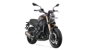leoncino-800-foto20230510015351