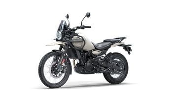 Himalayan-Kaza-Brown-120250613161854